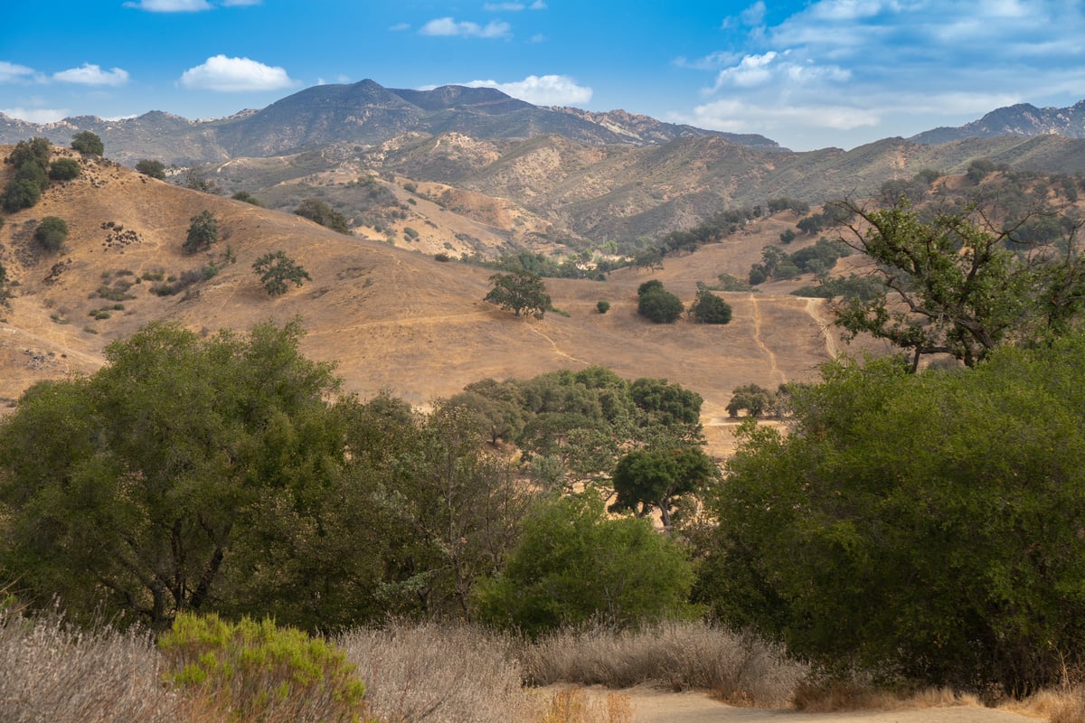 The Santa Monica Mountains